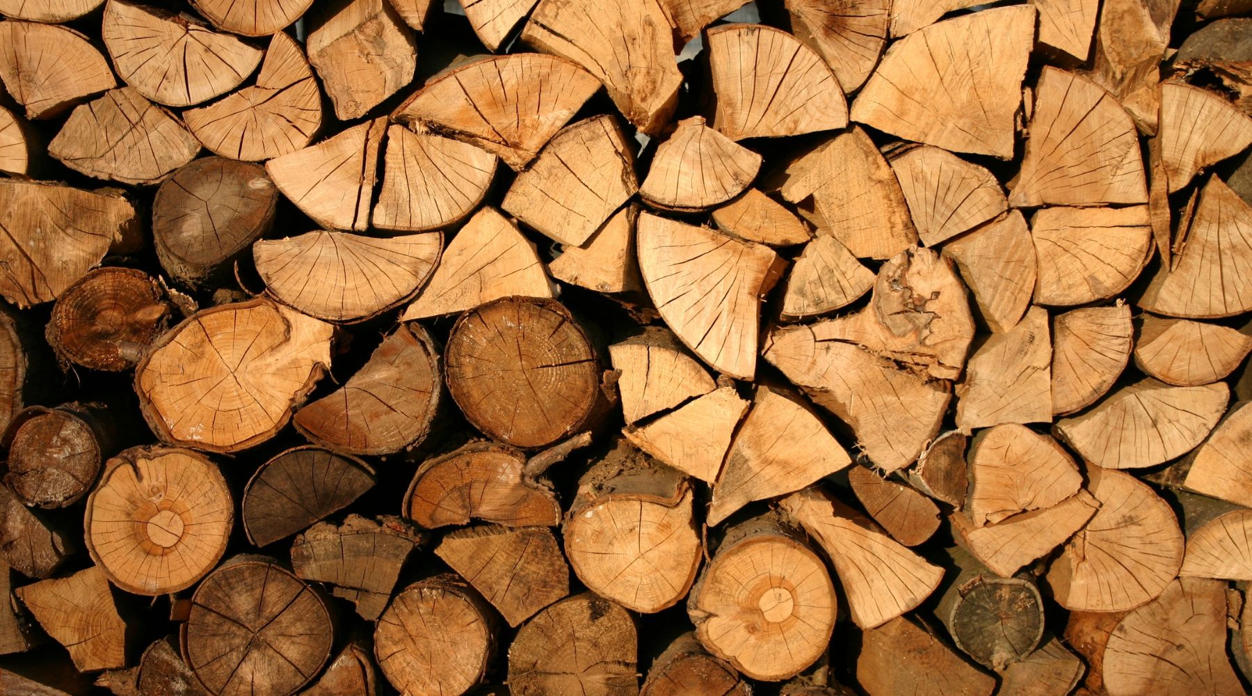 The Ultimate Guide to the Best Firewood for a Perfect Campfire